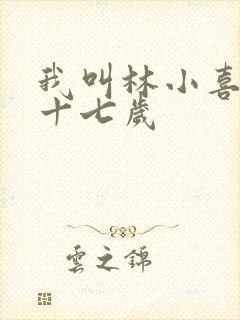 我叫林小喜今年十七岁