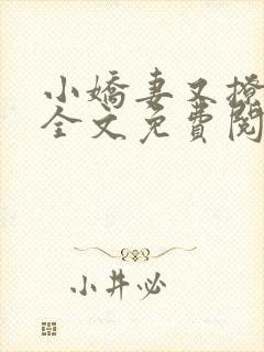 小娇妻又撩又甜全文免费阅读