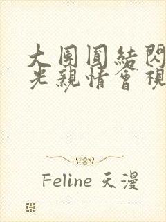 大团圆结闪闪发光亲情会视频封面