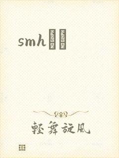 smhС˵封面