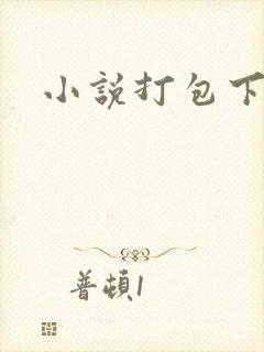 小说打包下载