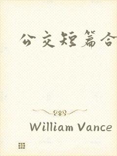 公交短篇合集