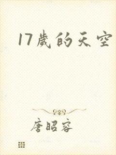 17岁的天空