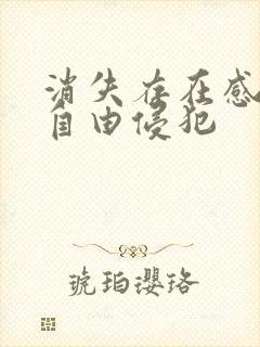 消失存在感消失自由侵犯