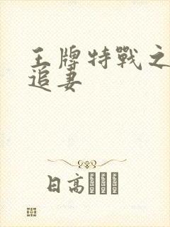 王牌特战之军少追妻