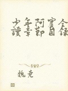 少年阿宾全文阅读章节目录封面