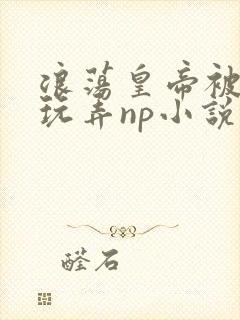 浪荡皇帝被多人玩弄np小说