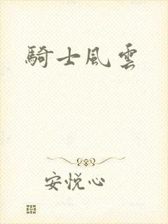 骑士风云封面