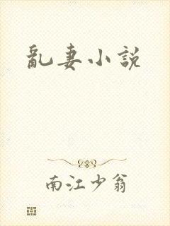 乱妻小说