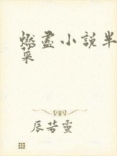 燃尽小说半截白菜