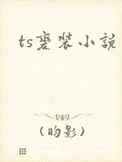 ts变装小说封面