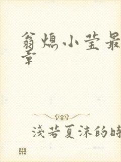 翁熄小莹最新节章