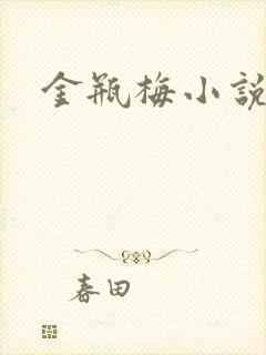 金瓶梅小说在线