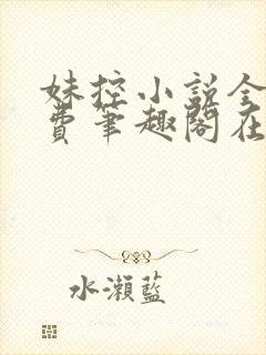 妹控小说全文免费笔趣阁在线阅读