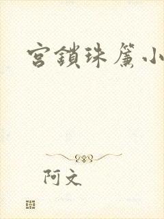 宫锁珠帘小说