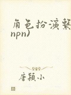 角色扮演系统(npn)