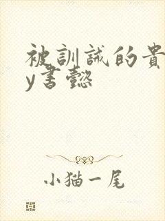 被训诫的贵妃by书懿