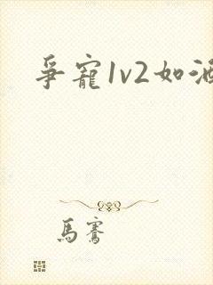 争宠1v2如酒