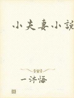 小夫妻小说