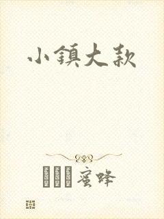 小镇大款封面