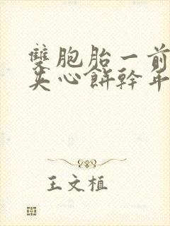 双胞胎一前一后夹心饼干年下封面