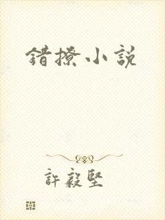 错撩小说