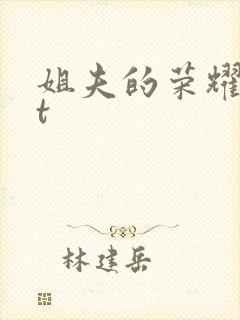 姐夫的荣耀txt