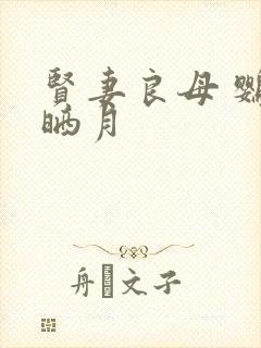 贤妻良母 鹦鹉晒月封面