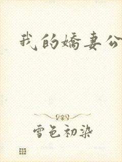 我的娇妻公务员封面