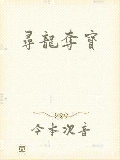 寻龙夺宝