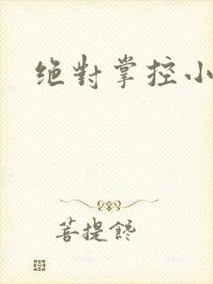绝对掌控小说