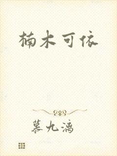 楠木可依封面