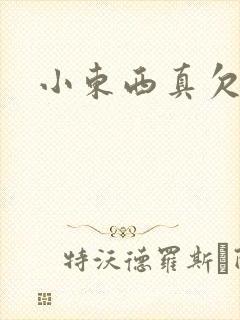 小东西真欠弄