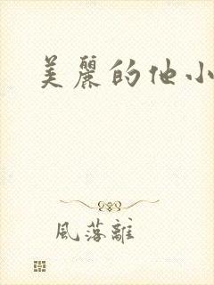 美丽的他小说