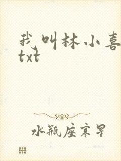我叫林小喜小说txt封面