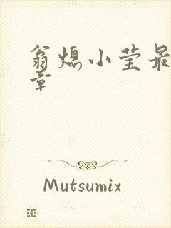 翁熄小莹最新节章