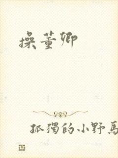 操董卿