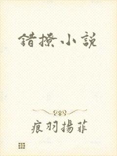 错撩小说