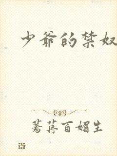 少爷的禁奴