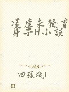 凌虐未发育的小身子H小说