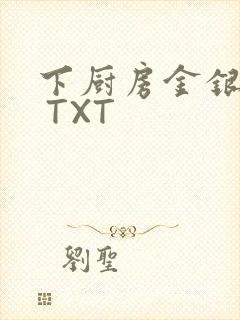 下厨房金银花露 TXT封面