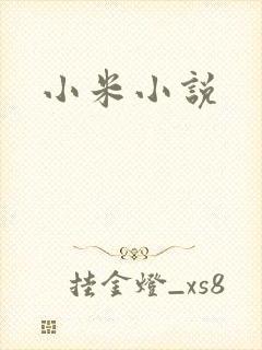 小米小说