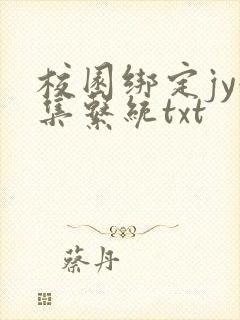 校园绑定jy收集系统txt封面