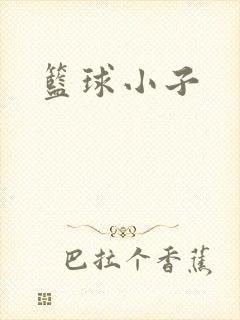 篮球小子