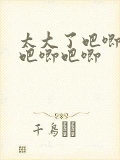 太大了吧唧吧唧吧唧吧唧