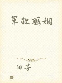 军政联姻