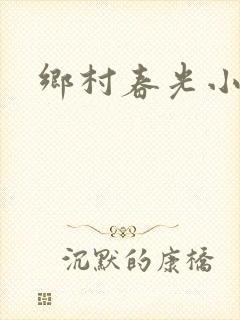 乡村春光小说