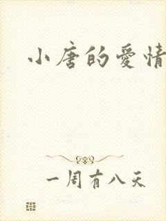 小唐的爱情史