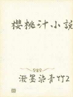 樱桃汁小说