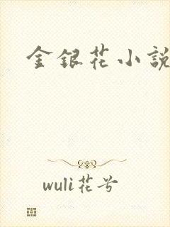 金银花小说乐可